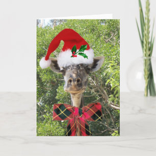 Weihnachtsgiraffe Feiertagskarte