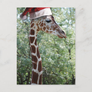 WeihnachtsGiraffe mit Weihnachtsmannmütze Feiertagspostkarte