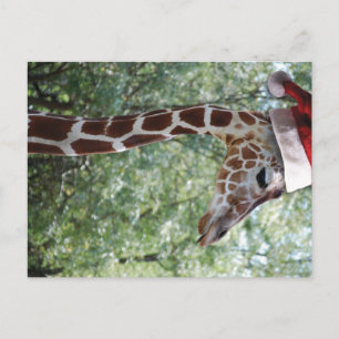 WeihnachtsGiraffe mit Weihnachtsmannmütze Feiertagspostkarte