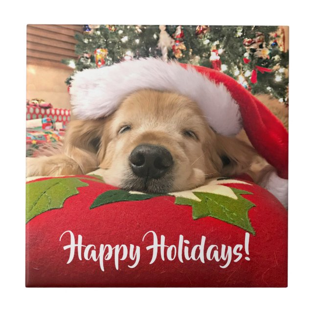 Weihnachtsgolden retriever-Hund schlafend unter Fliese (Vorderseite)