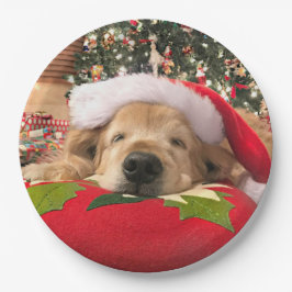 Weihnachtsgolden retriever-Hund schlafend unter Pappteller