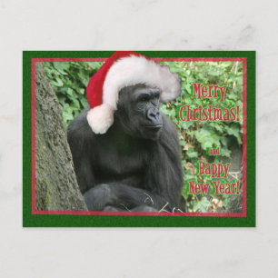 WeihnachtsGorilla Feiertagspostkarte