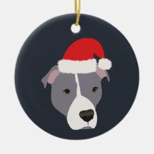 Weihnachtsgraue und weiße Pitbulle
