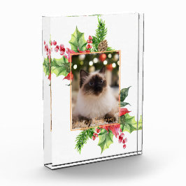 Weihnachtsgrün im Wasser mit Poinsettia Fotoblock