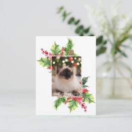 Weihnachtsgrün im Wasser mit Poinsettia Post Postkarte