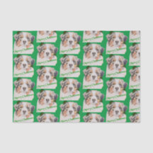 Weihnachtsgrün-Realistischer Australischer Hirte