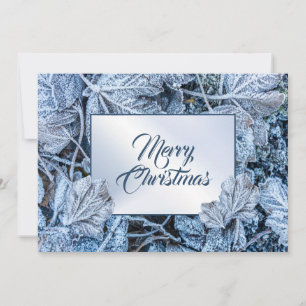 Weihnachtsgrüße Blaue Blätter Schnee Winter Feiertagskarte