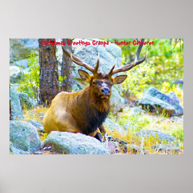 Weihnachtsgrüße Grandpa Hunter Gatherer Poster (Vorne)