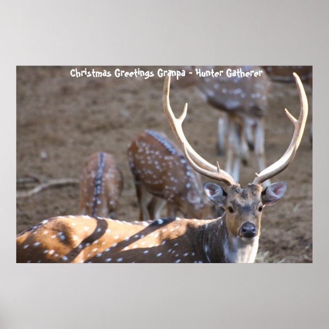 Weihnachtsgrüße Grandpa Hunter Gatherer Poster (Vorne)