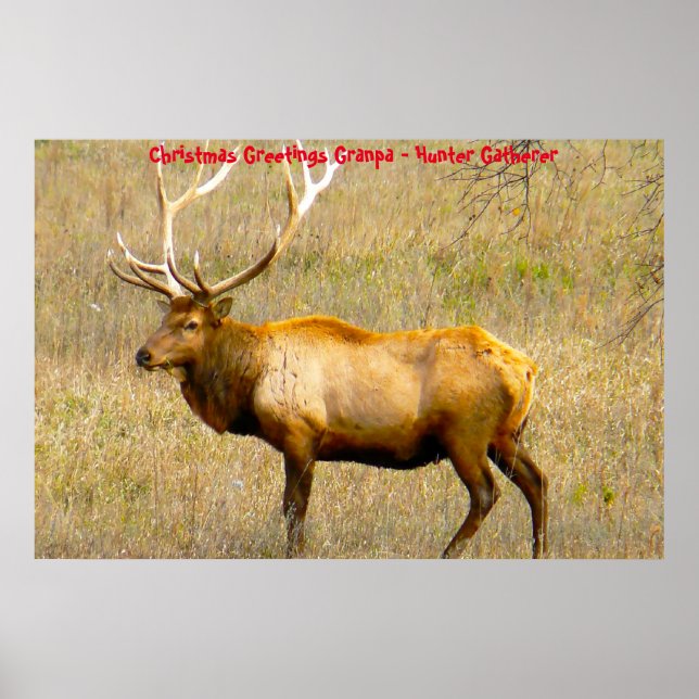 Weihnachtsgrüße Grandpa Hunter Gatherer Poster (Vorne)