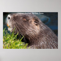 Weihnachtsgrüße LMy Little Beaver