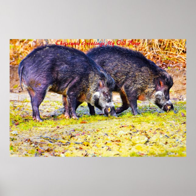 Weihnachtsgrüße Mein alter Bohne Poster (Vorne)