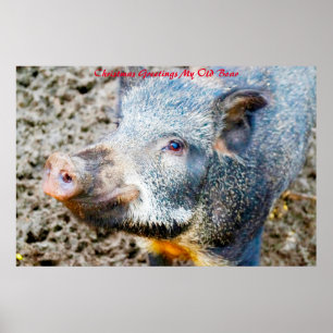 Weihnachtsgrüße Mein alter Bohne Poster