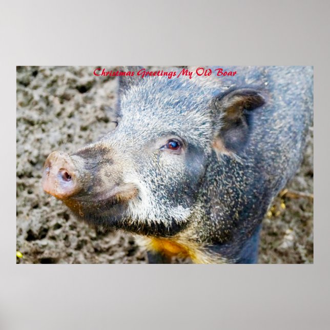 Weihnachtsgrüße Mein alter Bohne Poster (Vorne)