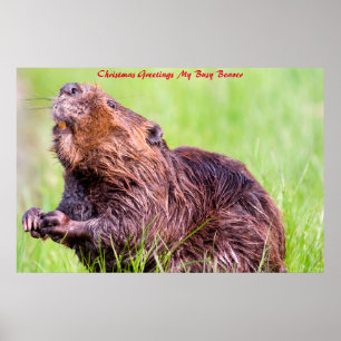 Weihnachtsgrüße Mein Fleißiger Biber Poster
