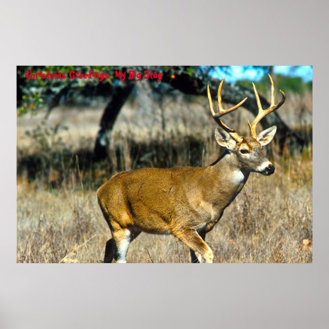 Weihnachtsgrüße Mein großer Stag Poster (Vorne)