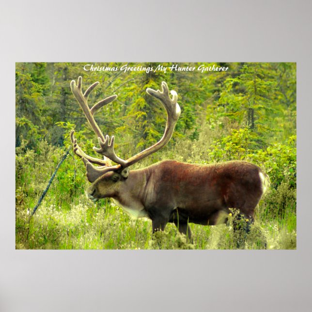 Weihnachtsgrüße Mein Jäger Gatherer Poster (Vorne)