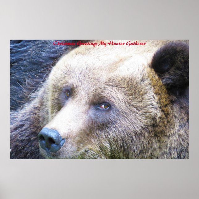 Weihnachtsgrüße Mein Jäger Gatherer Poster (Vorne)