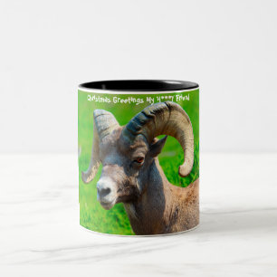 Weihnachtsgrüße Mein Liebling Zweifarbige Tasse