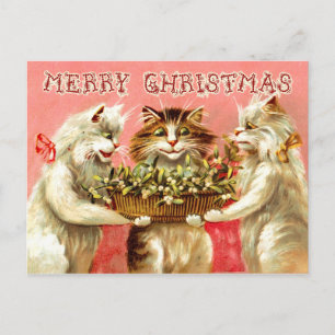 Weihnachtsgrüße von Katzen mit Mistelzweig Feiertagspostkarte