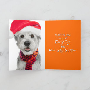 Weihnachtsgrußkarte-Scrappy Jackson Spade Feiertagskarte