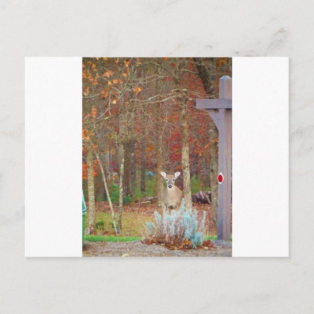 Weihnachtshändler Feiertagspostkarte (Vorderseite)