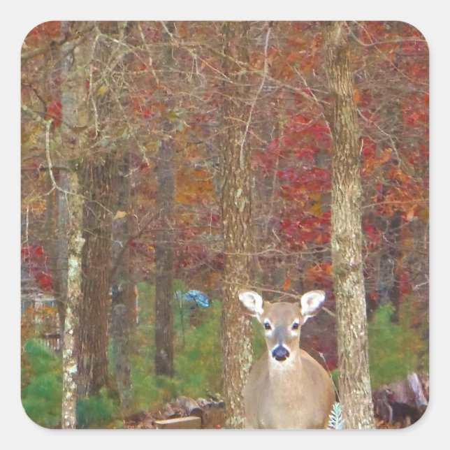 Weihnachtshändler Quadratischer Aufkleber (Vorderseite)