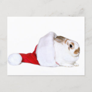 Weihnachtshäschen Feiertagspostkarte