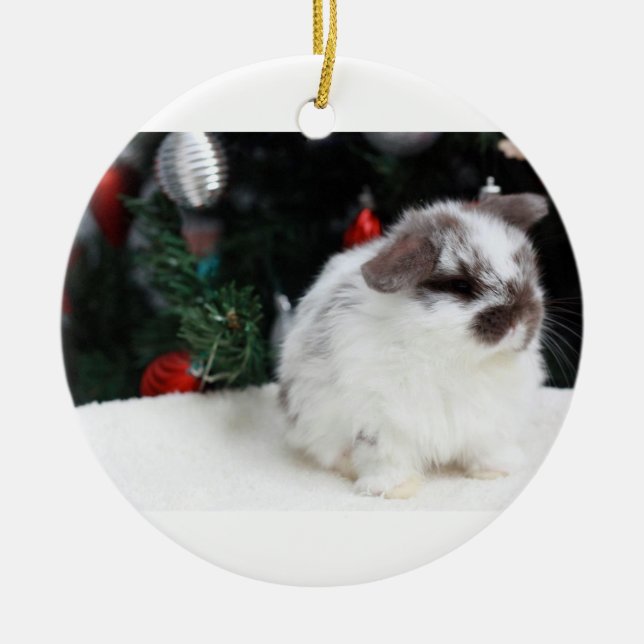 Weihnachtshäschen Keramikornament (Vorne)