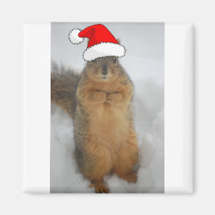 Weihnachtshörnchen mit dem Weihnachtsmann Magnet