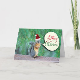 Weihnachtshörnchen mit Hintergrundinformationen zu Feiertagskarte