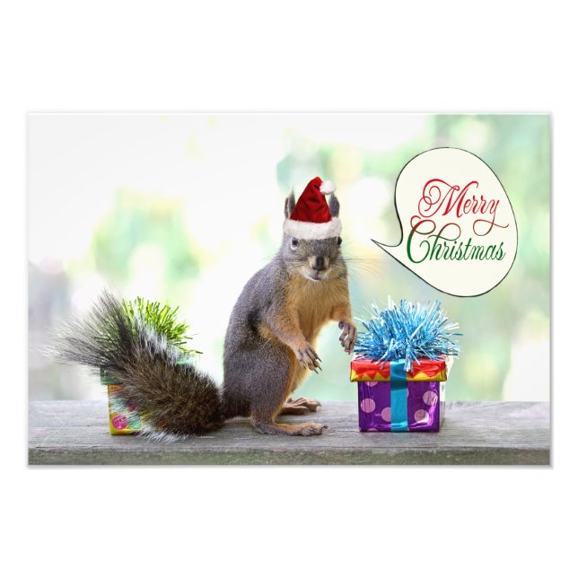 Weihnachtshörnchen mit Weihnachtsgeschenken Fotodruck (Vorne)