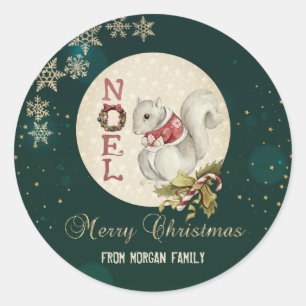 Weihnachtshörnchen, Schneeflocken Runder Aufkleber
