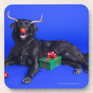 Weihnachtshund Getränkeuntersetzer