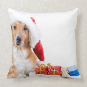 Weihnachtshund mit dem Geweih und den bunten Kissen