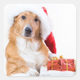 Weihnachtshund mit dem Geweih und den bunten Quadratischer Aufkleber