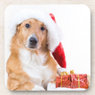 Weihnachtshund mit dem Geweih und den bunten Untersetzer