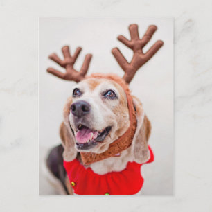 Weihnachtshund mit festlichen Rentierohren Feiertagspostkarte