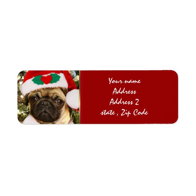 Weihnachtshund Mops (Vorne)