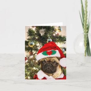 Weihnachtshund Mops Feiertagskarte