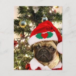 Weihnachtshund Mops Feiertagspostkarte