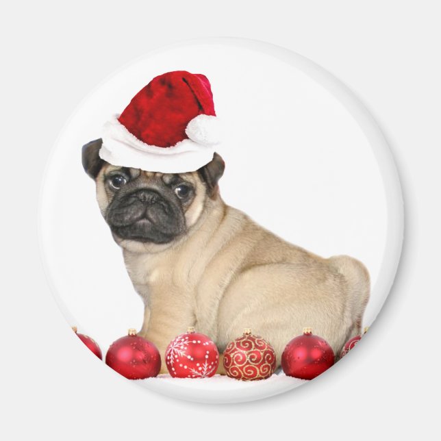 Weihnachtshund Mops Magnet (Vorne)