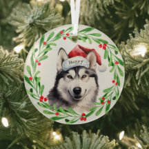 Weihnachtshund Siberischer Husky Weihnachtsmannmüt
