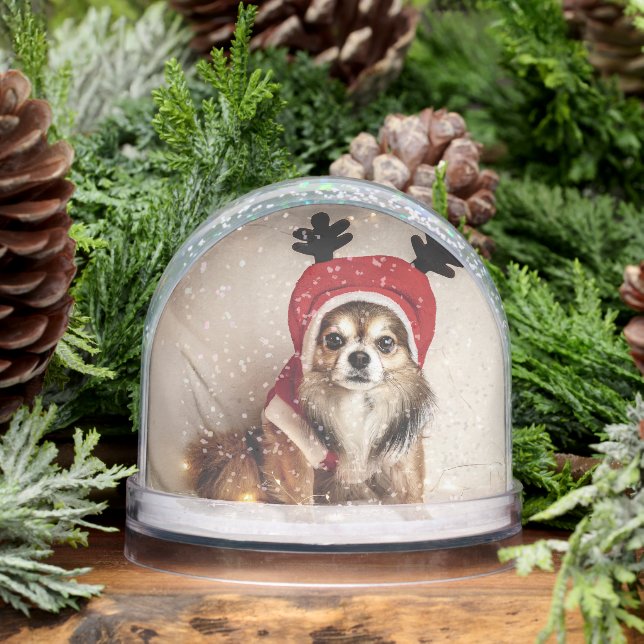 Weihnachtshund Snow Globe Schneekugeln (Winter)