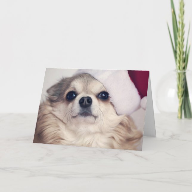 Weihnachtshündchen-Beifall Feiertagskarte (Vorderseite)