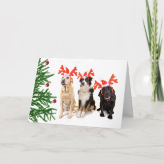 Weihnachtshunde Feiertagskarte
