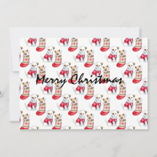 Weihnachtshunde und Katzen-Strümpfe Einladung
