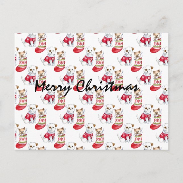Weihnachtshunde und Katzen-Strümpfe Postkarte (Vorderseite)