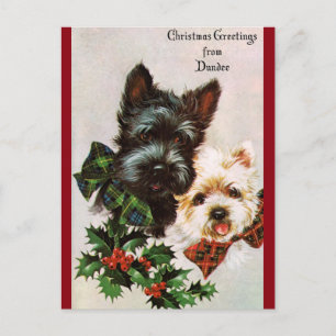 Weihnachtshunde Vintage Feiertagspostkarte