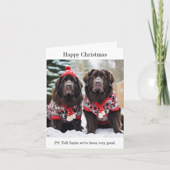 Weihnachtsjumpers-Karte für Hunde in Neufundland Karte (Vorderseite)